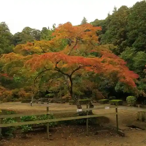 鹿島神宮の庭園