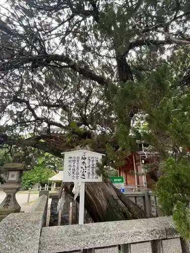 高砂神社の庭園