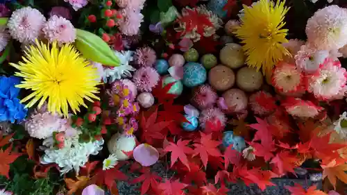 滑川神社 - 仕事と子どもの守り神の手水舎