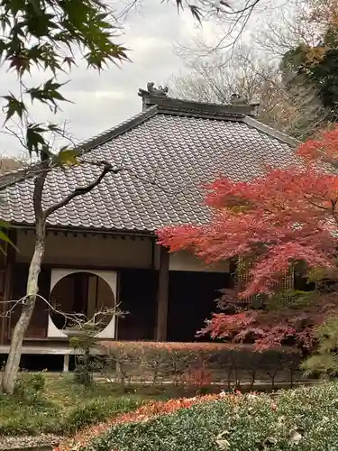 明月院(神奈川県)