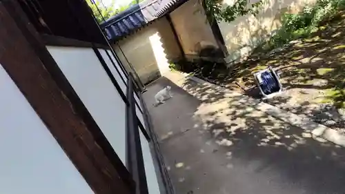 梅宮大社(京都府)