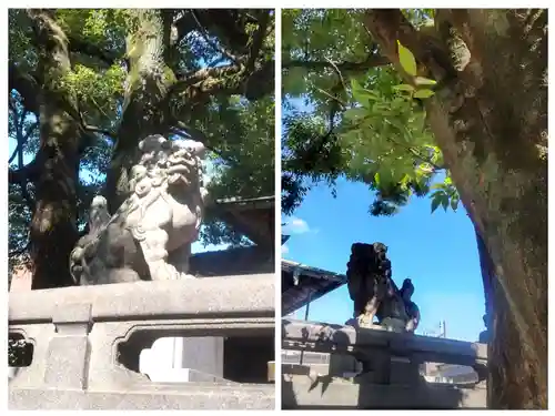 千住氷川神社(東京都)