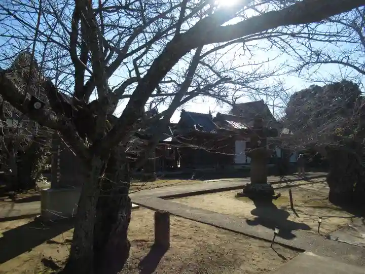 安穏寺(茨城県)