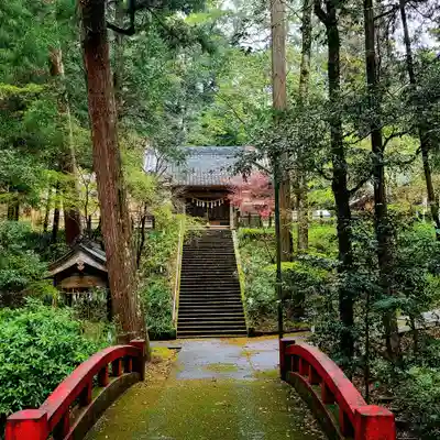 雨櫻神社(静岡県)
