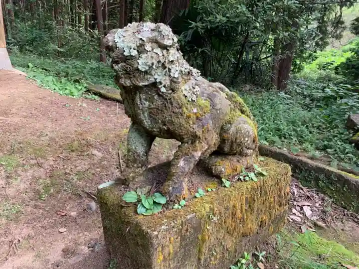 熊野神社の狛犬