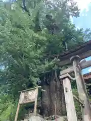 三島神社(愛媛県)