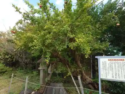 堀出神社(新潟県)