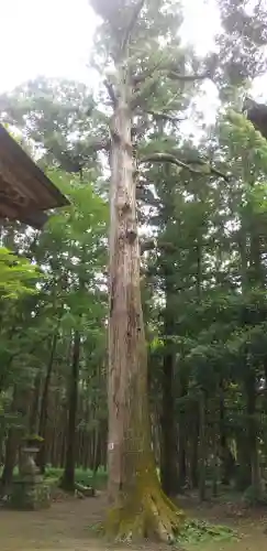 一之宮神社のその他建物