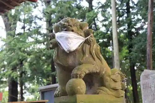 八雲神社の狛犬