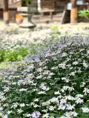 修那羅山安宮神社(長野県)