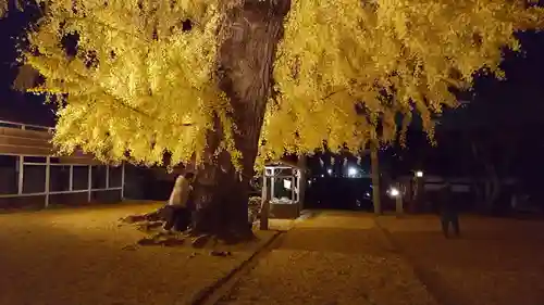 丹生酒殿神社の自然