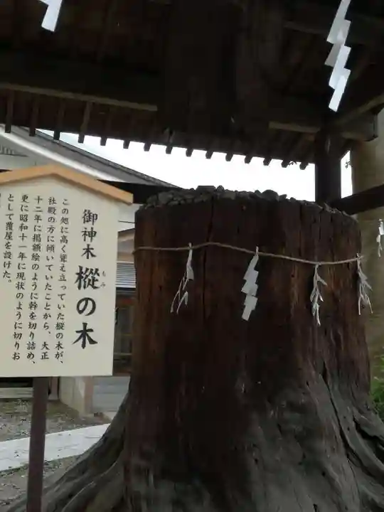 須賀神社のその他建物