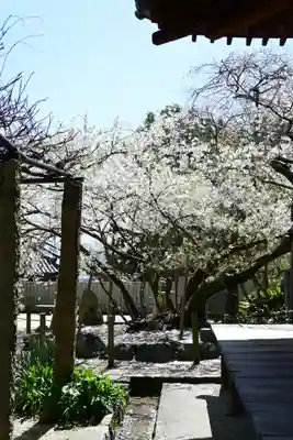 大宝寺(愛媛県)