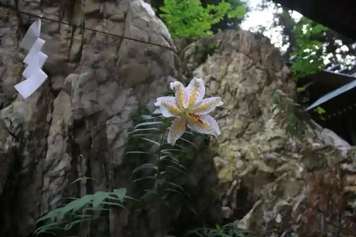 鹿島大神宮の自然