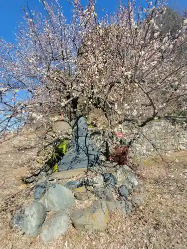 稲荷神社（借宿町）(栃木県)