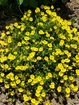 大鏑神社(福島県)