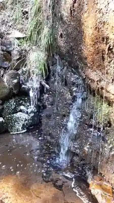 多岐神社の自然