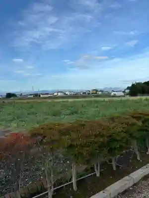 諏訪神社(埼玉県)