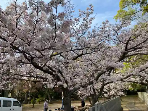 三津厳島神社の自然