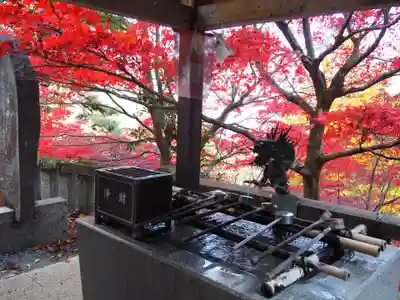 大山寺(神奈川県)