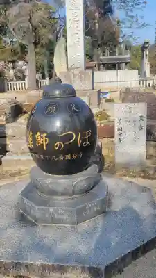 国分寺(愛媛県)