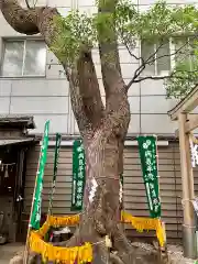 少彦名神社の自然