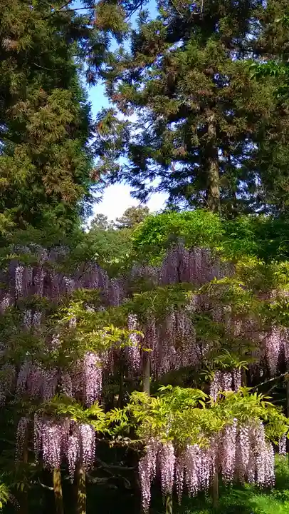歌泉堂(春日大社神苑萬葉植物園内鎮座)(奈良県)