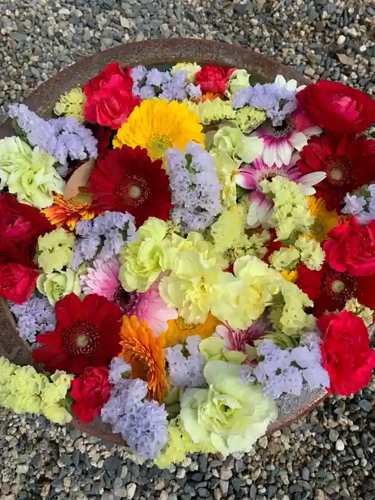 彌都加伎神社の手水舎