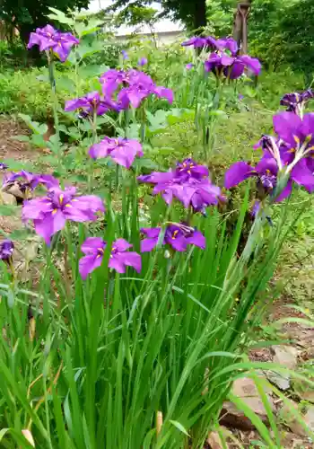 虻田神社の自然