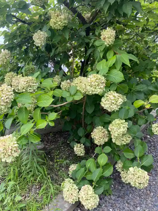 神前神社(愛知県)