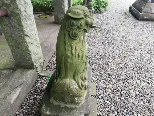 菊田神社の狛犬