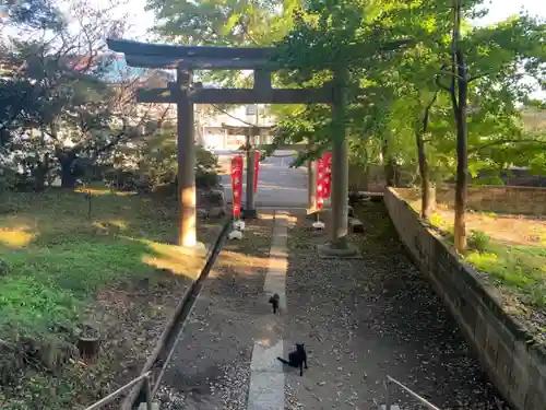 三嶋神社の鳥居