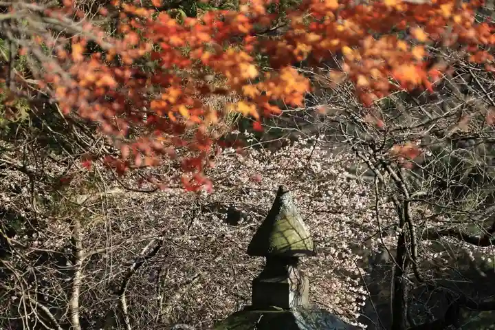 鹿島大神宮のその他建物