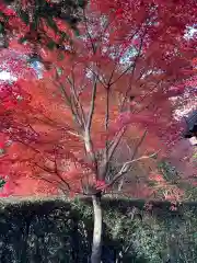 安楽寺(京都府)