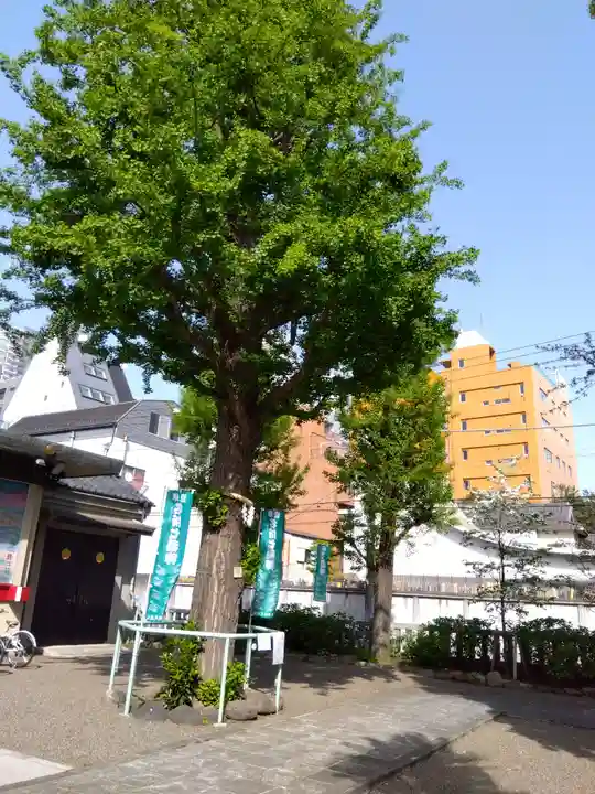 矢先稲荷神社(東京都)