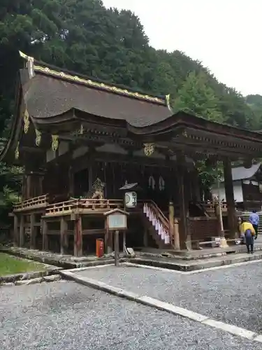 日吉大社の本殿