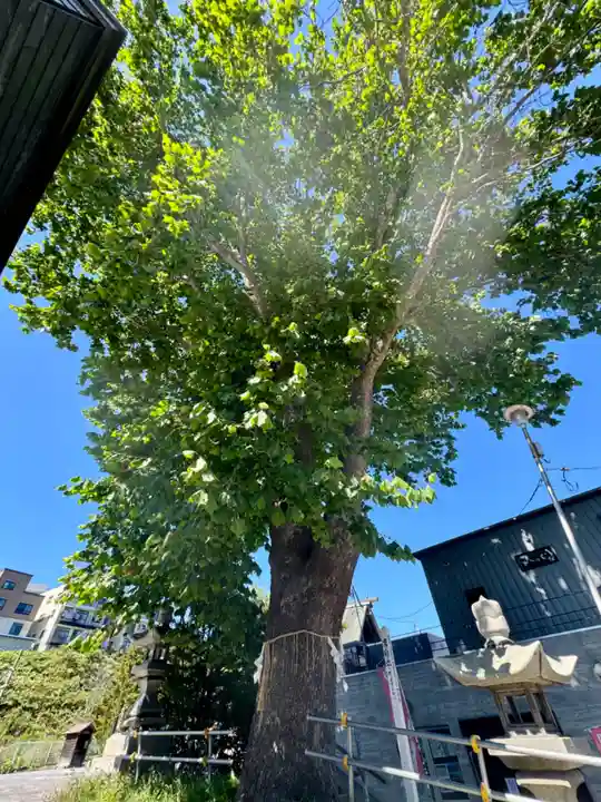 龍宮神社(北海道)