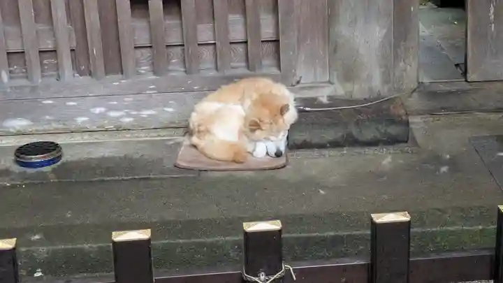 能満院(奈良県)