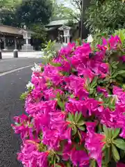 東郷神社(東京都)