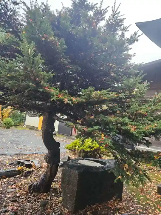 袋宮寺(青森県)