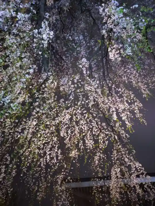 常圓寺(東京都)