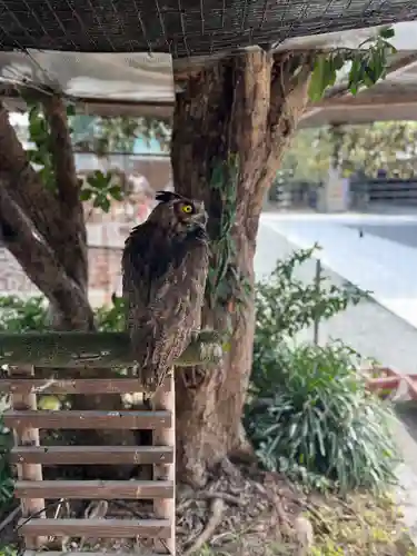 宮地嶽神社(福岡県)