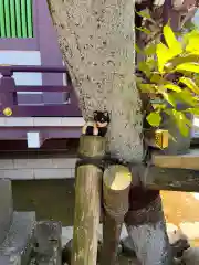 高木神社の像