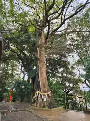 常陸國總社宮(茨城県)
