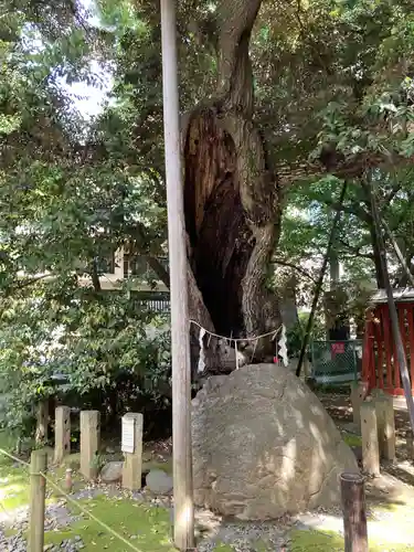 金王八幡宮(東京都)