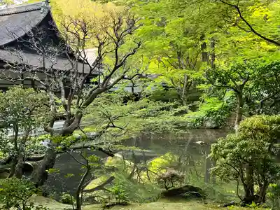 南禅院(京都府)