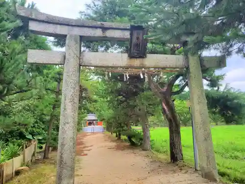 菌神社の鳥居