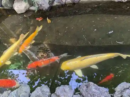 吉原弁財天本宮（吉原神社奥宮）(東京都)
