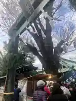 湯島天満宮の鳥居