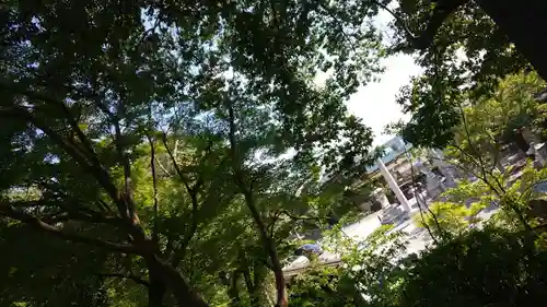 出雲大神宮のその他建物